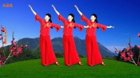 小慧广场舞民族风特色舞《梅花赋》歌醉舞美