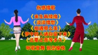 华美舞动广场舞串烧《淡淡情愁》《还要让我