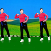 DJ广场舞《忙忙碌碌为了啥》正面附教学