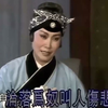 豫剧《寻儿记》又名《八珍汤》《三进士》下载