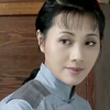 黄梅戏《啼笑因缘》上集下载