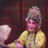 评剧《花为媒报花名》下载