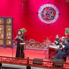 梅花大鼓《鸿雁捎书》杨云返场《宝玉探病》