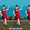 广场舞《人生没有回头路》完整版附教学 非