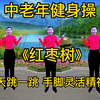 中老年健身操《红枣树》每天跳一跳减肥没烦恼下载