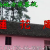 赣南采茶戏《莲花庵》上集