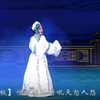 楚剧《赵玉贞装疯》选段