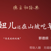 妞儿还在山坡吃草