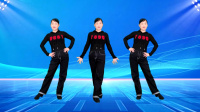 广场舞《半痴半傻半疯癫》DJ版动感时尚附教