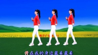 8步简单广场舞《最美最美》背面演示