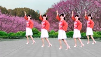 广场舞《爱在桃花园》简单好看又好学附教学