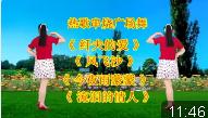 DJ热歌广场舞串烧《纤夫的爱》《风飞沙》《
