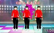 精选DJ广场舞《你从草原来》中老年流行舞蹈