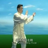 陈小旺陈式太极拳老架一路最权威最完整的教学视频下载
