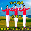广场舞《哑巴新娘》简单入门32步好看好学