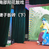 湖南邵阳花鼓戏《兰继子扳砖》下集下载