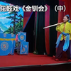 湖南邵阳花鼓戏《金钏会》中集下载