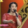 秦腔名家唱段女声版合辑下集下载