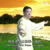 陈小旺陈氏太极拳38式最权威最完整的教学视频下载