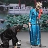 包公赔情下载