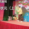 湖南邵东花鼓戏《少年状元》上集下载