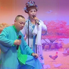 反正对花 包公断后下载