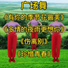 广场舞串烧《有你的季节花最美》《伤离别》
