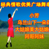 经典歌曲广场舞串烧《小芳》《阿哥阿妹》《