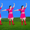 玫香广场舞《毛主席的光辉》正背面附教学