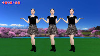 情歌DJ广场舞《一朵情花开》舞步简单易学附