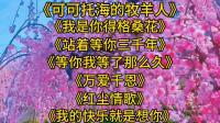 广场舞串烧《可可托海的牧羊人》《等你等了