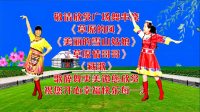广场舞串烧《草原的风》《美丽的雪山姑娘》