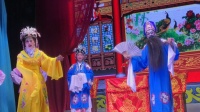 白字戏《闹严府》