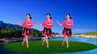 32步广场舞《花花的世界》正背面附教学