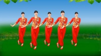 阳光香果广场舞《叫一声哥哥一声妹》64步火