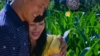 二人转短剧《左邻右舍闹翻天》第1集下载