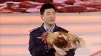 村警下载
