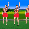 玫香广场舞《雨中泪》正背面附教学