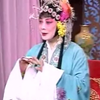 柳琴戏《大花园》（大书观）下载