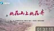 豫剧《桃花山上桃花开》全场戏