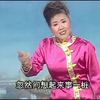 河南坠子《杨二郎劈山救母》莫红梅演唱