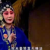 眉户《张连卖布》全本下载