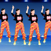 DJ流行广场舞《心碎爱上了眼泪》动感时尚正