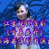 江苏现代淮剧《首乌花开》全剧 滨海县淮剧