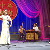 河南坠子《哭黛玉》及返场下载