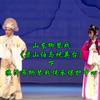 山东柳琴戏《梁山伯与祝英台》下集 临沂市