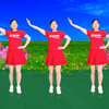 广场舞《一生心不变》优美简单附教学