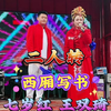 西厢写书下载