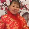 河南坠子《团圆媳妇熬婆婆》下载