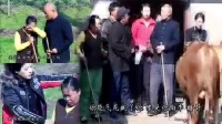 安徽民间小调《瞎妮放牛》全集下载